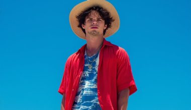 Chic Casual How to Pull Off Luffy's Trendy Looks from One Piece! - Alihoub